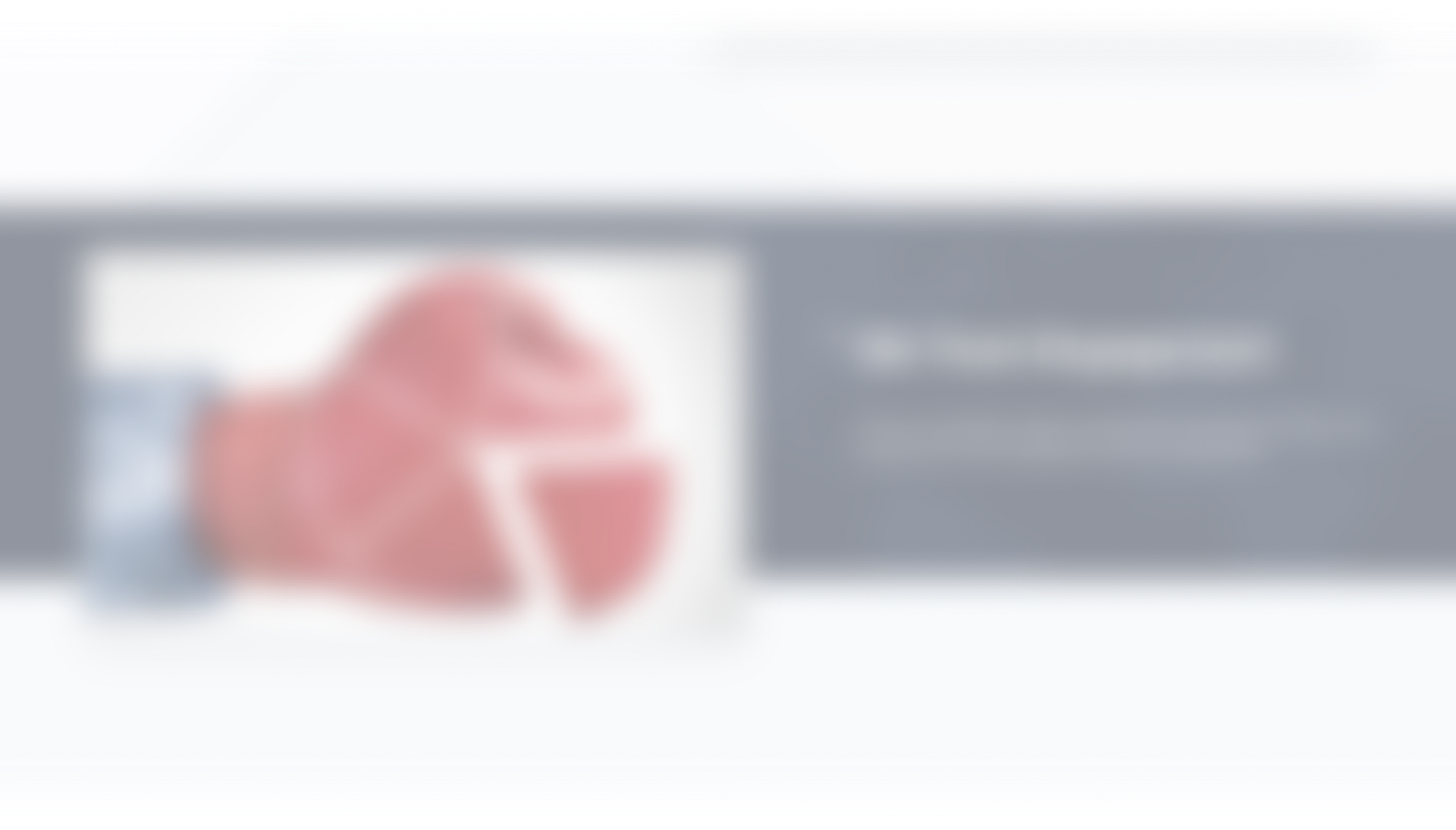 dualsosh-project-background
